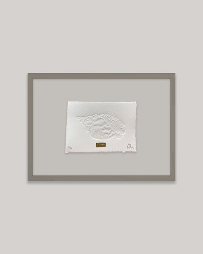 Limited Edition Conch Shell Hand Embossed Artwork