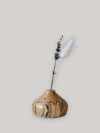 Low miniature wooden bud vase in spalted Beech with dried stems - front view.