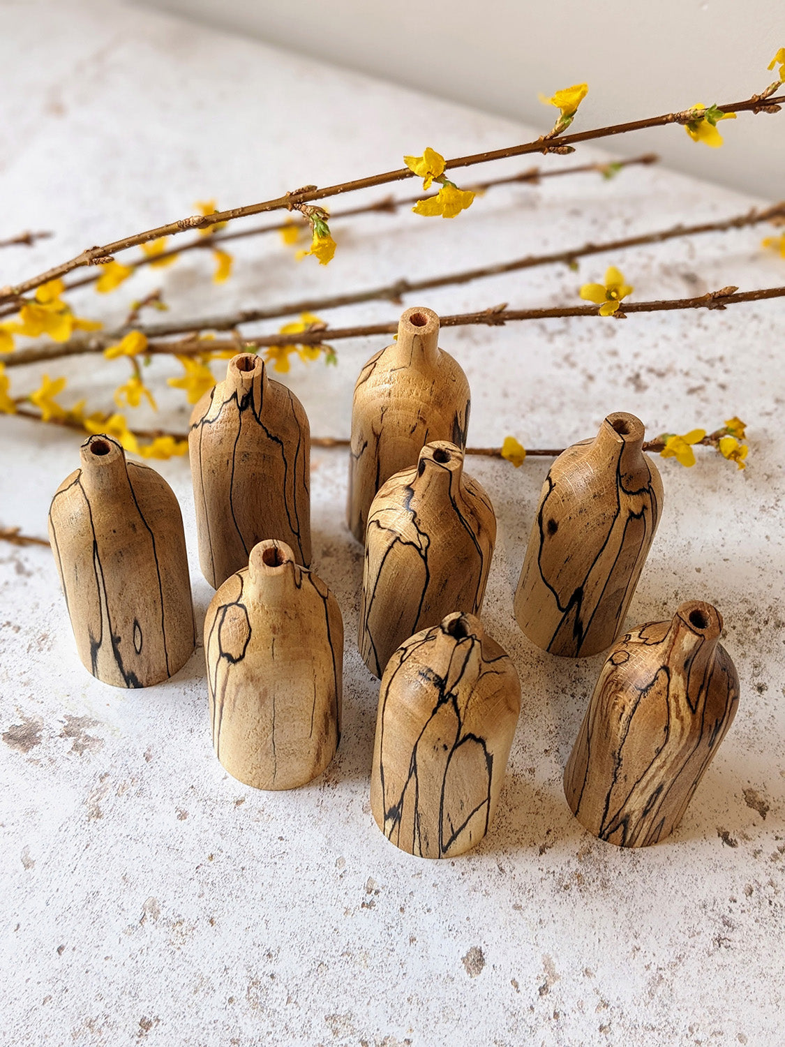 Group of eight miniature bud vases in spalted Beech with branches with yellow flowers behind, on a mottled off-white surface - top view.