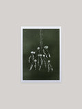 Botanical Christmas card with mistletoe design on a dark green background.