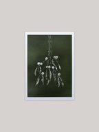 Botanical Christmas card with mistletoe design on a dark green background.