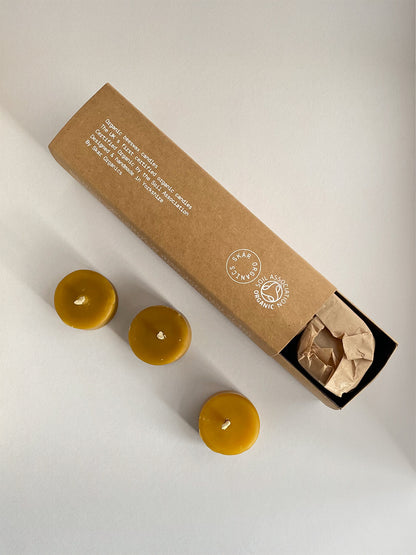 Three organic beeswax tealight candles next to box on a light surface - top view.