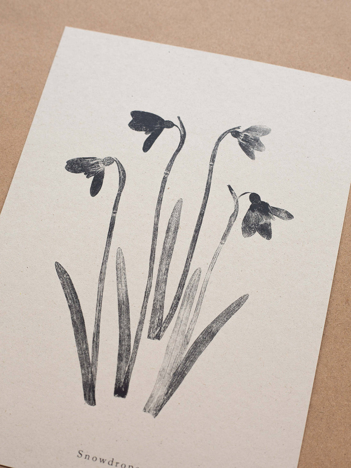 Close-up of botanical art print of snowdrops on a beige background.