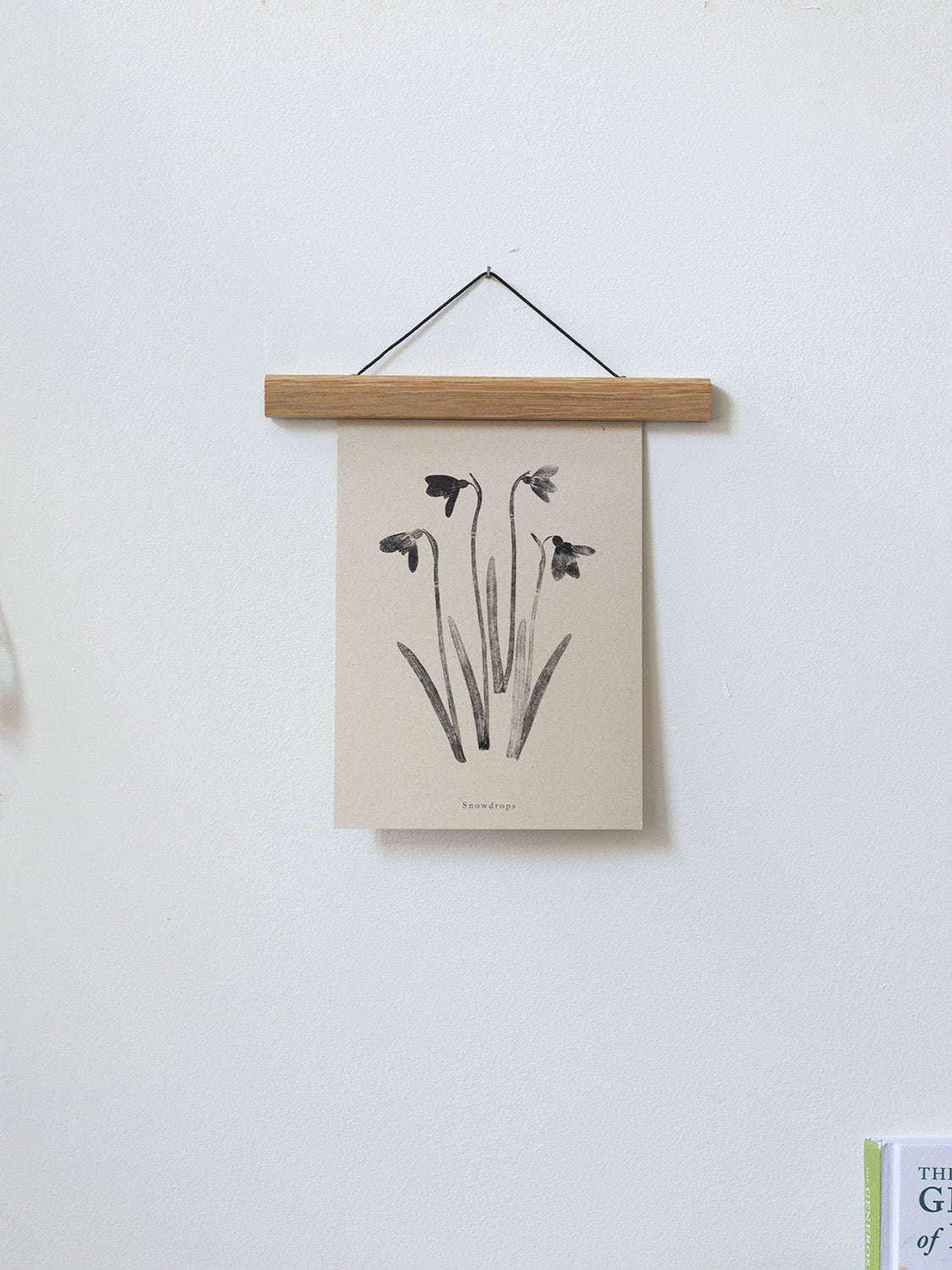 Botanical art print of snowdrops with a wooden hanger against a white wall.