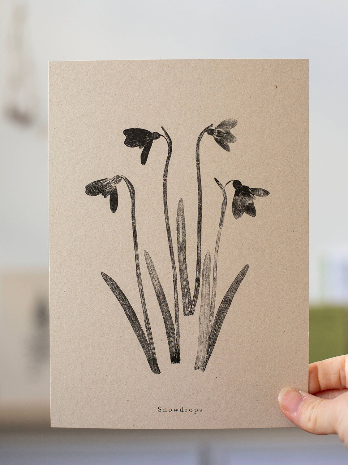 Hand holding a botanical art print of snowdrops on a beige background.