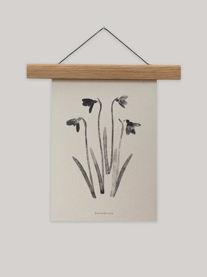 Botanical art print of snowdrops on a beige background with a wooden hanger.