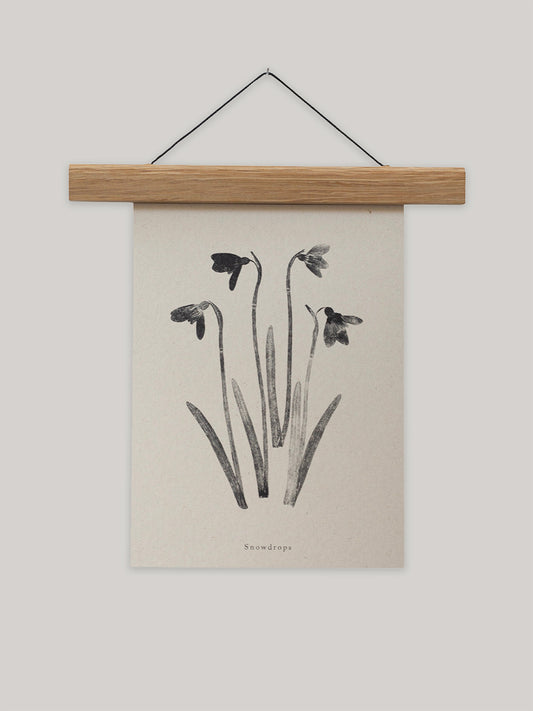 Botanical art print of snowdrops on a beige background with a wooden hanger.