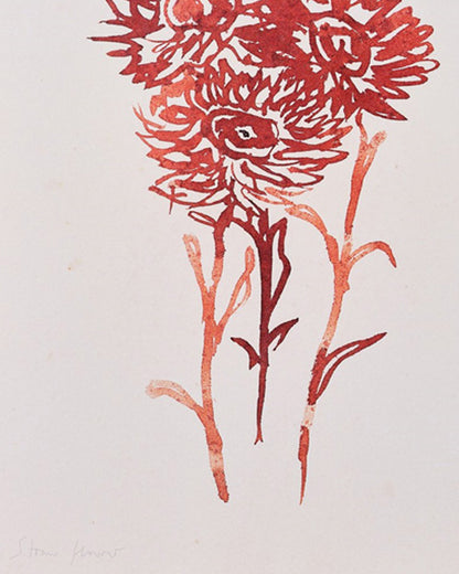 Strawflower Botanical Art Print