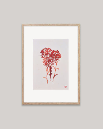 Art print of three Strawflowers in red ink on vintage paper in a natural oak frame with an off-white mount