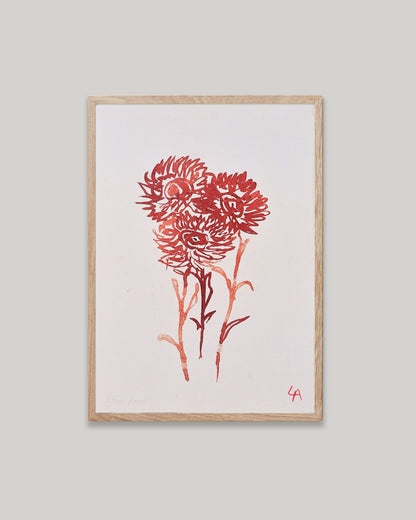 Art print of three Strawflowers in red ink on vintage paper in a natural oak frame