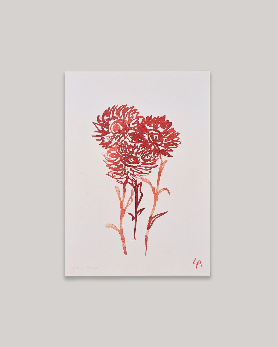 Art print of three Strawflowers in red ink on vintage paper