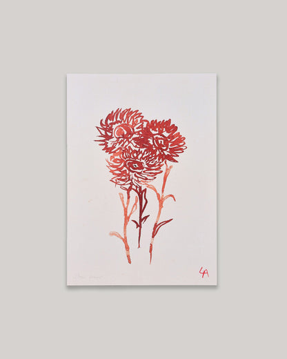 Art print of three Strawflowers in red ink on vintage paper