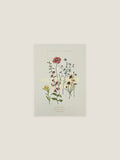 Wildflower Meadow seed packet with botanical illustration on a neutral background.