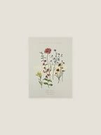 Wildflower Meadow seed packet with botanical illustration on a neutral background.