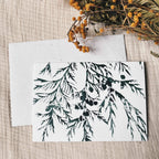 Winter Branches Botanical Christmas Card | A6