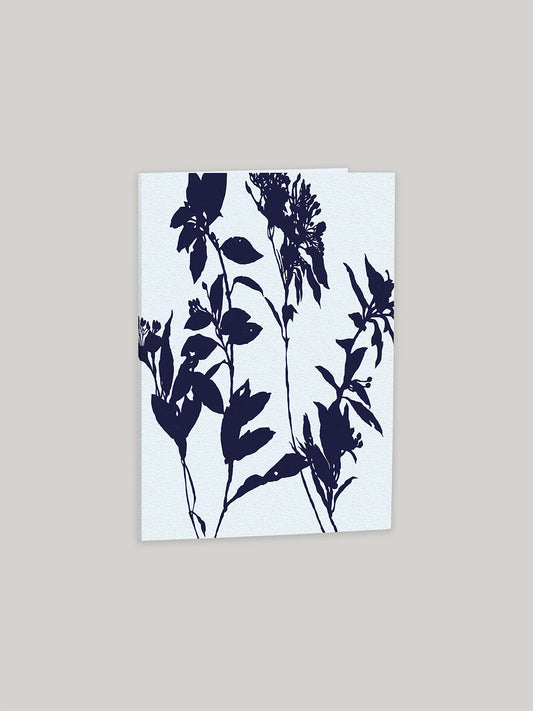 Winter Shadows botanical greeting card - front.