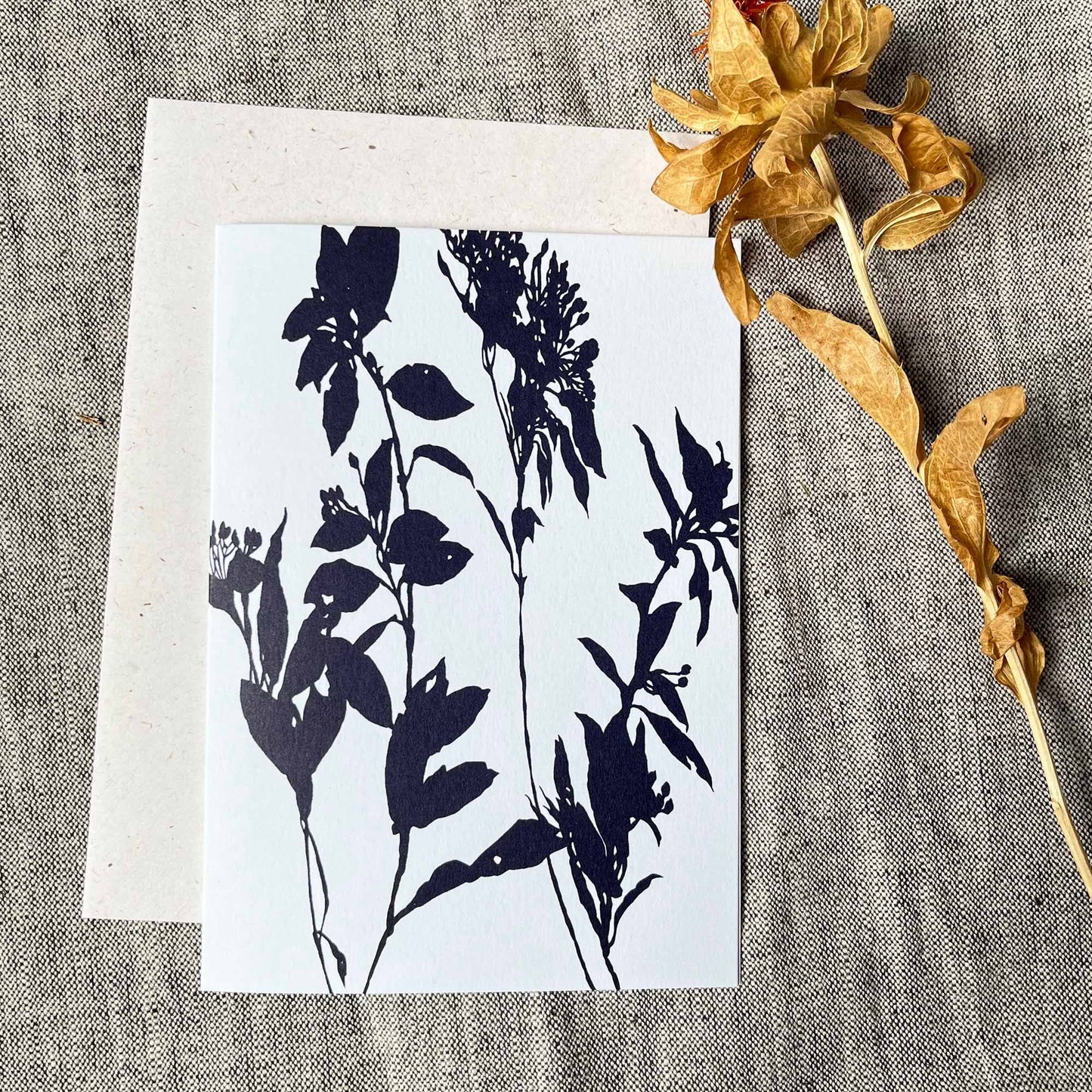 Winter Shadows Botanical Greeting Card | A6